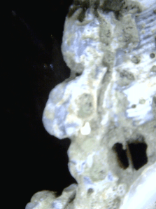 Dwarven Mannor House